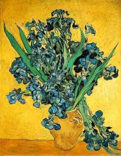 Lamina 30x45cm Arte - Pintores - Van Gogh - Iris