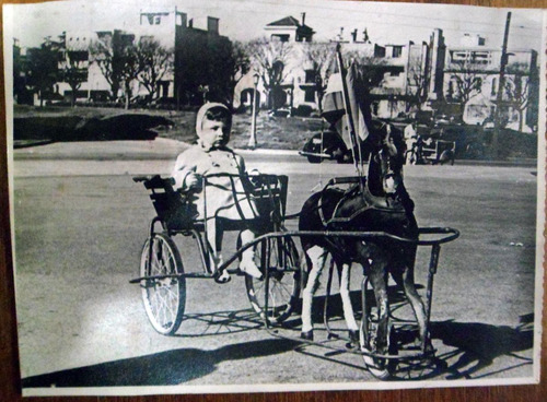 Antigua Fotografia Parque Rodo Juego Sulky Caballo 1940