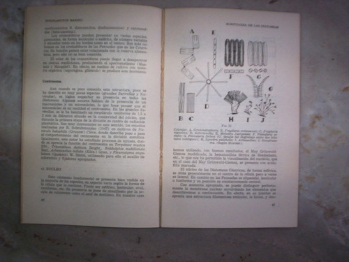 Fitoplancton Marino Por Enrique Balech Y Hugo Ferrando
