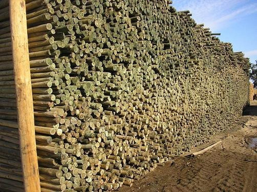 Poste De Eucaliptus 9 A 12 Cm X 2,20 Mts Madera Tratada