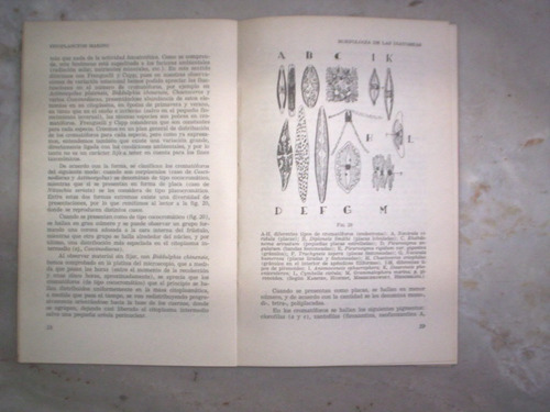 Fitoplancton Marino Por Enrique Balech Y Hugo Ferrando