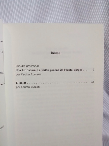 Imagen 4 de 4 de El Salar Fausto Burgos Biblioteca Nacional Los Raros