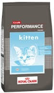 Performance Gatitos (kitten) De 1.5kgs!!- Petit Pet Shop