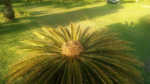 Imagem 5 de 10 de Alugo Chacara Ibiuna Para Temporada E Festas