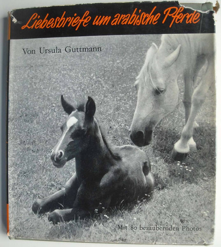  Cartas De Amor Entre Caballos Arabes Ursula Guttmann