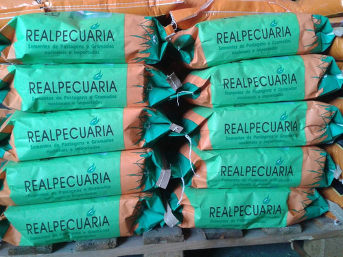 Sementes De Grama Batatais Incrustada (1 Kg Rende Até 150m2)