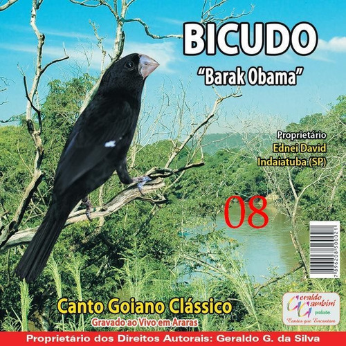 Cd De Canto De Bicudo Barac Obama , Canto -de Pássaros