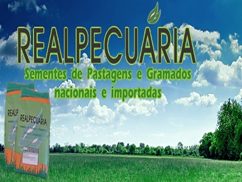 Sementes De Grama Batatais Incrustada (1 Kg Rende Até 150m2)
