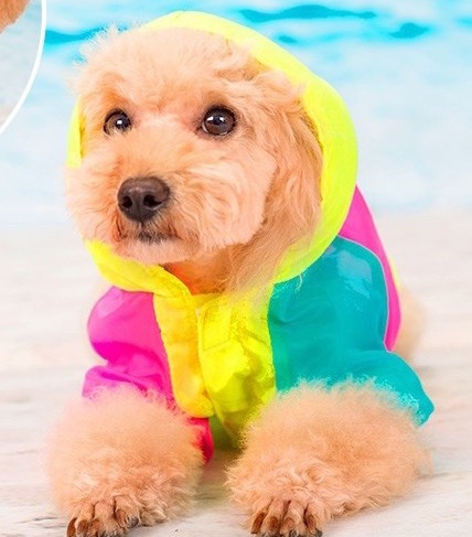 Chaqueta De Verano Multicolor Ochentera Para Perros Gatos