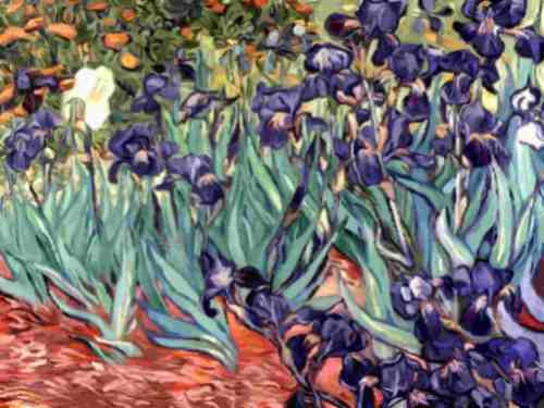 Lamina 30x45cm Arte - Pintores - Van Gogh - Irises