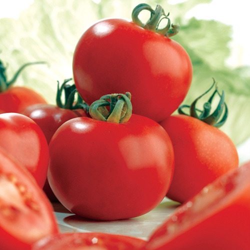 Tomate Ailsa Craig Sementes - Tradicional Heirloom Tomates