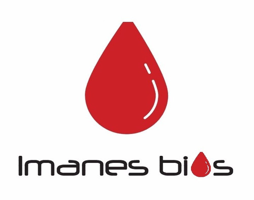 Imanes Neodimo Biomagnetismo Certificados 58mmx12mm 4100gaus