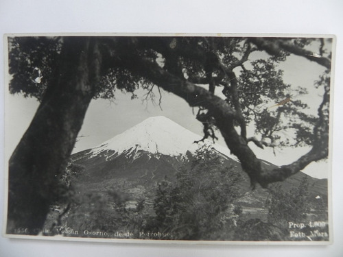 Postal Volcan Osorno Desde Petrohue. Chile Siglo 20