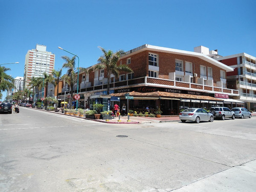 Imagen 1 de 14 de Alq. Depto En Punta Del Este