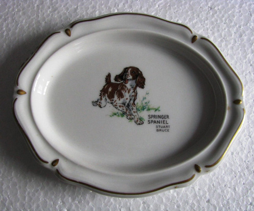 Antiguo Despojador Porcelana Italiana Perro Springer Spaniel