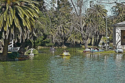 Lámina 45 X 30 Cm. - Botes En El Lago Del Parque Rodó