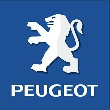 Liberación Desbloqueo Peugeot Citroen 206 207 307 C3 C4