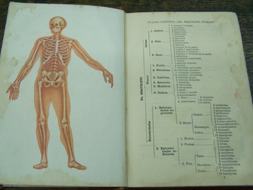 Imagen 4 de 6 de Anatomia * Fisiologia E Higiene * Appleton *