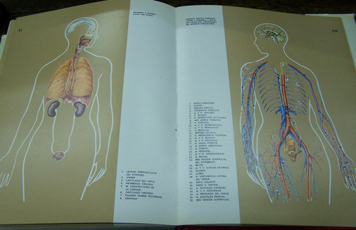Imagen 6 de 6 de Enciclopedia Medica Para La Familia Moderna * Diccionario *