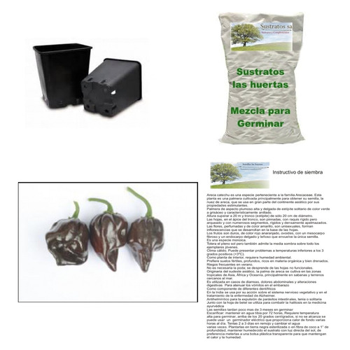 Semillas De Habanero Chocolate En Kit Con Todo Para Germinar