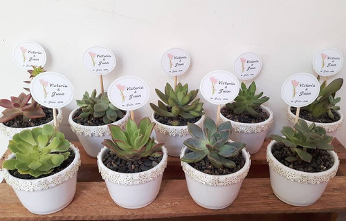 Recuerdos Suculentas Plantas Cactus Matrimonio Baby Shower