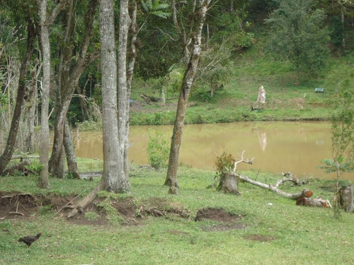 Imagem 2 de 15 de Sitio No Bairro Vargem Do Salto | 47733 - 47733