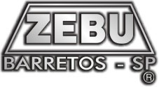Imagem 4 de 6 de Canivete Zebu Barretos Inox 313 Com Corrente