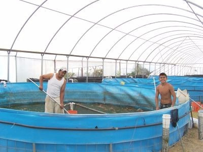 Piscina 4,57x1,22- 18 000 Litros Acuicultura Almacén De Agua