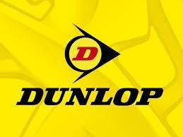 Imagen 3 de 7 de Neumaticos 225/45 R17 Dunlop Orig Toyota Castagno Neumatico