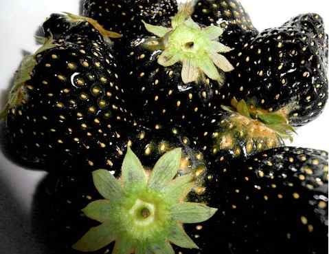 20 Sementes Exóticas De Morango Negro Black E Frete Grátis