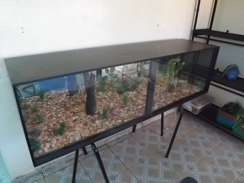 Terrário Para Python, Jiboia, Corne Snake Ou Pogona