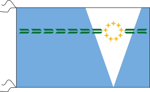 Bandera De Formosa 90 X 150cm Oficial