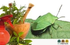 Imagen 3 de 6 de Insecticida Organico Natural