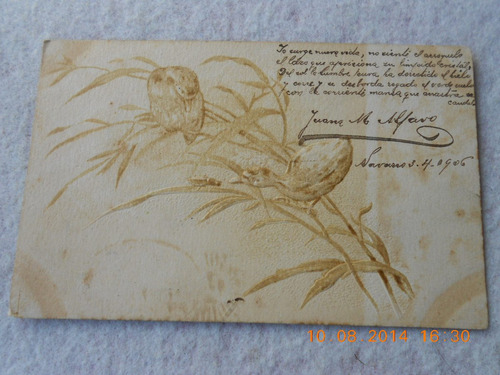 Antigua Postal Con Aves Y Sello Postal Del Año 1906