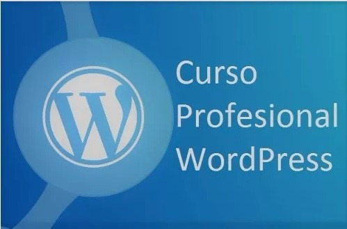 Curso Profesional Wordpress De Novato A Experto