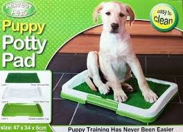 Baño Ecológico Para Perros Y Gatos Puppy Potty Pad