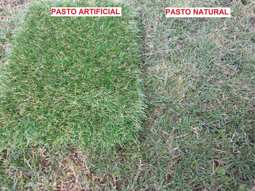 Imagen 3 de 10 de Cesped Sintético Para Techos, Azoteas, Terrazas Y Patios