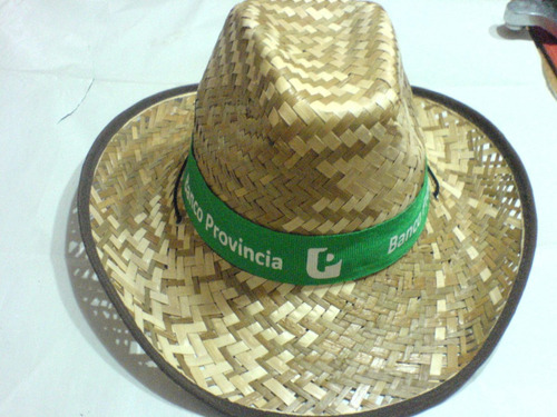 Sombrero Modelo Tipo Panama (ideal Vacaciones, Countries, ) En Excelente Estado!!!! Modelo Muy Chicc Y Cassuals-