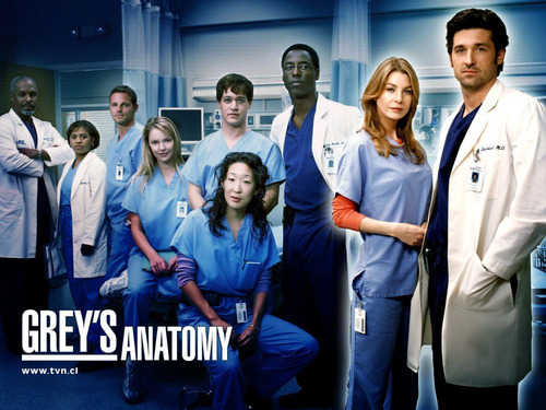 Grey S Anatomy Todas As 11 Temporadas Completas Dvd Dublados