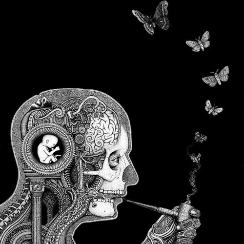 Soen - Cognitive