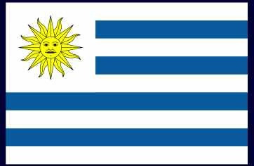 Bandera De Uruguay - Lámina 45 X 30 Cm.