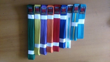 Imagen 5 de 5 de Cintas.shuridogold. Karate,judo,tkd .nuevas-