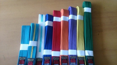 Imagen 2 de 5 de Cintas.shuridogold. Karate,judo,tkd .nuevas-