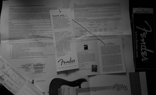 Guitarra Fender Stratocaster Mexicana Profissional