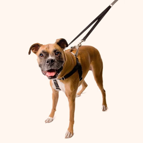 Freedom No-pull Harness®- Arnés Multifuncional Talla M Y L