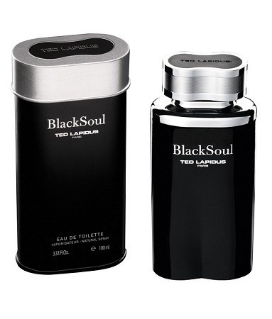 Perfume Black Soul Masculino 100ml Edt - Ted Lapidus