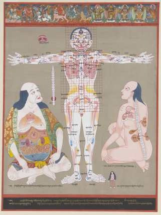 Puntos Vulnerables Anatomia - Antiguo Tibet - Lámina 45x30cm