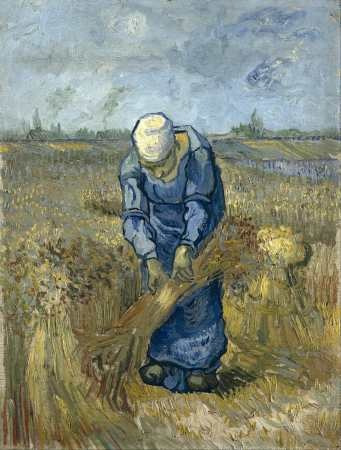 Van Gogh - Mujer Campesina Atando Gavillas - Lámina 45x30cm.