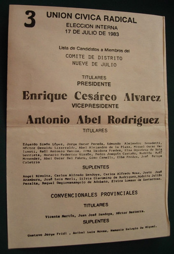 Boleta Elecciones Interna Radical Alvarez 9 De Julio