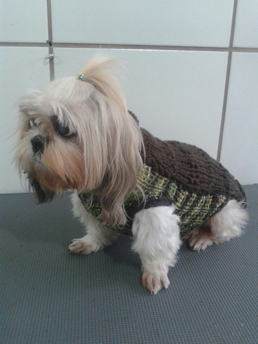 Roupas De Lã Para Cães 